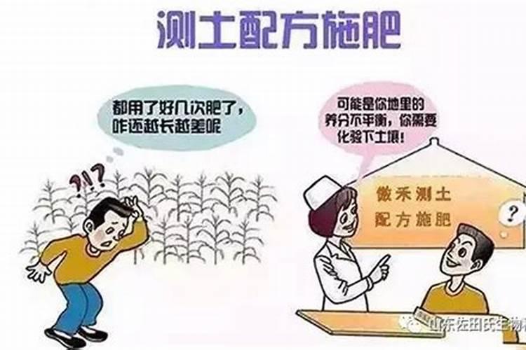 果树秋季施氮肥可以吗