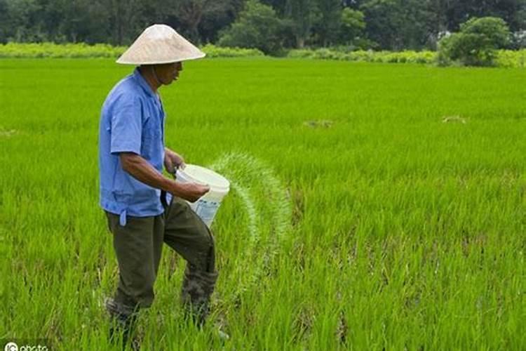 2021年最火穿越历史小说,回味明朝历史,感受大国风范!二