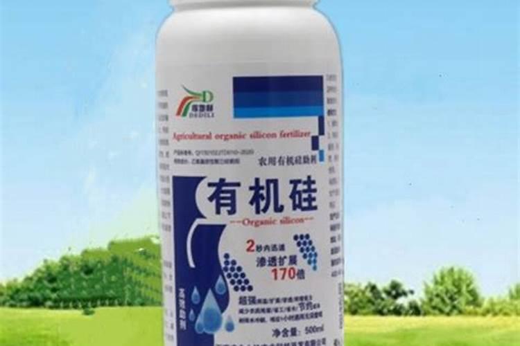 有机硅肥料有什么作用