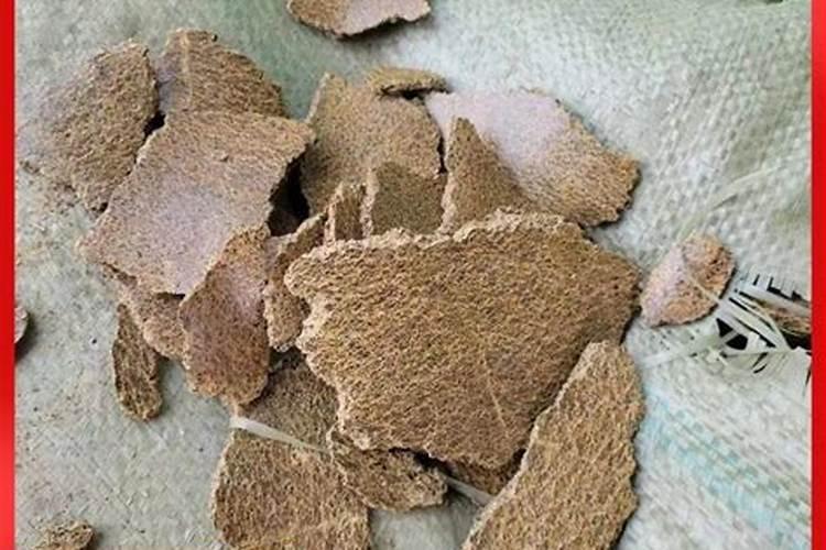 菜籽饼怎么给果树施肥