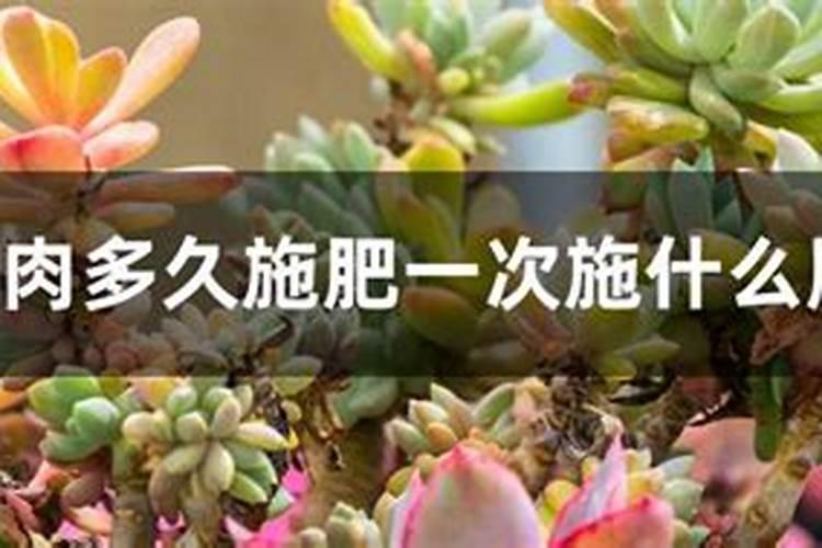 哪些肥料适合滴灌施肥