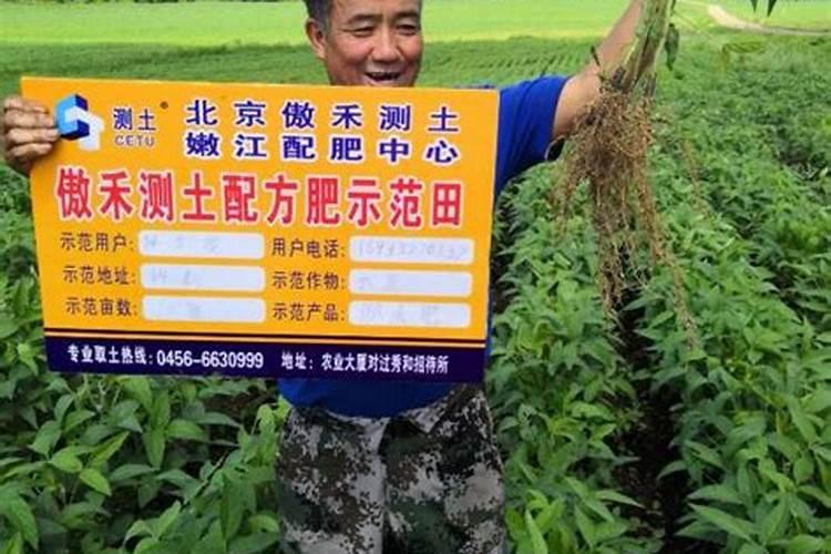 油菜什么时候施硼肥
