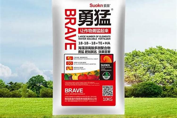 怎样提高叶面施肥的效果？
