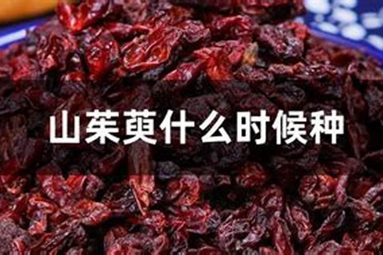山药什么时候追肥比较好？想要高产应该如何施肥？