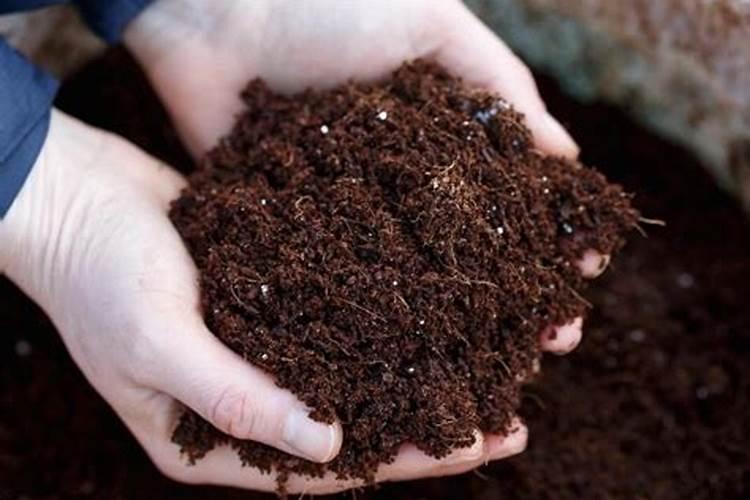 家庭养植物沤肥的材料有哪些