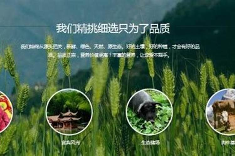 什么是绿色肥料