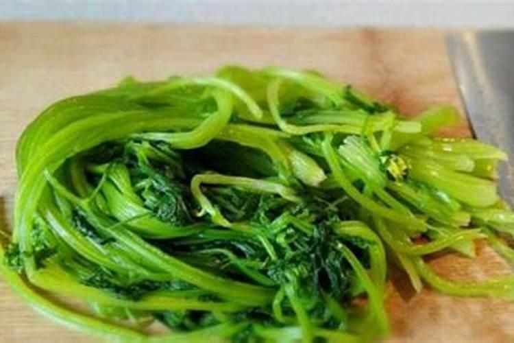 喷什么叶面肥芹菜长得快 喷施方法有哪些