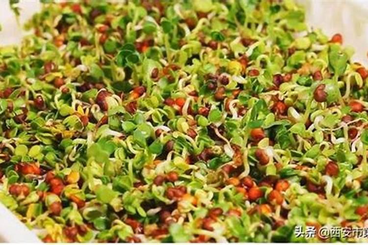 红萝卜苗期用什么肥料