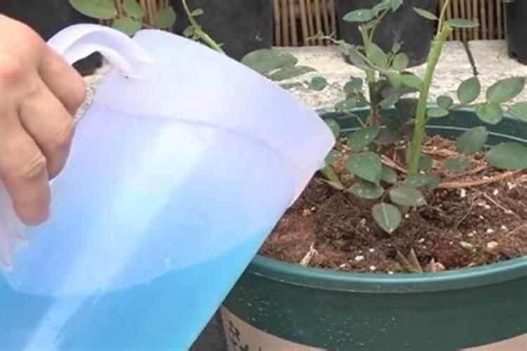 加工鸡粪的机器