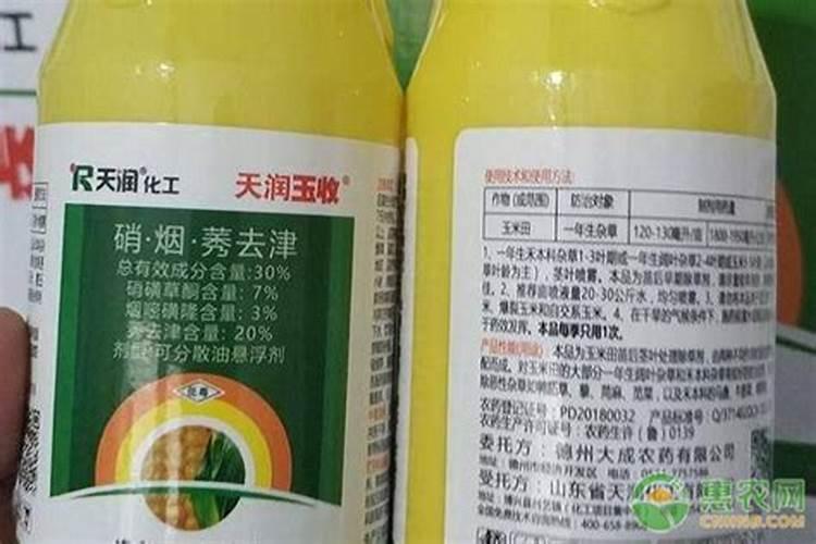 鱼腥草的种植方法