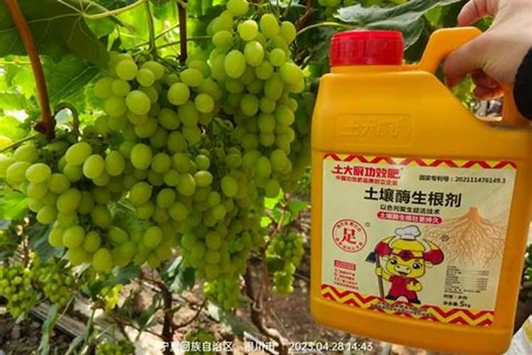 促进植物生根的肥料是钾肥还是磷肥