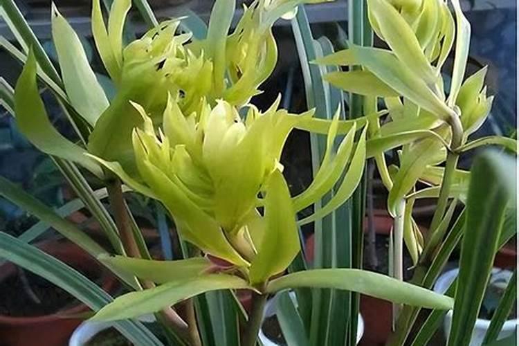 稀土在农村的用法