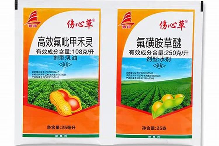 草盛豆苗稀是为什么