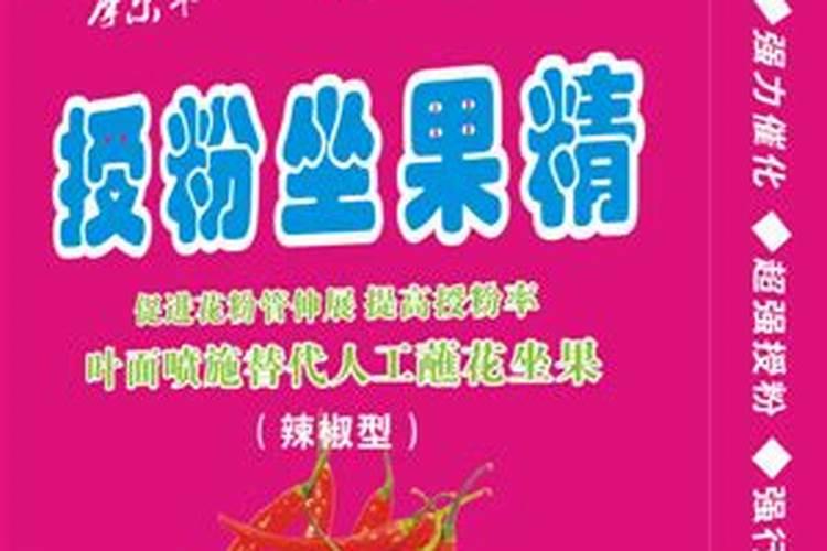 番茄开花期用哪类叶面肥能助力生长？