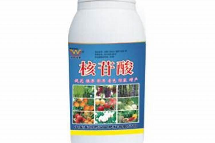 如何防治草莓青枯病