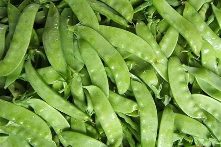 荷兰豆开花要施什么肥