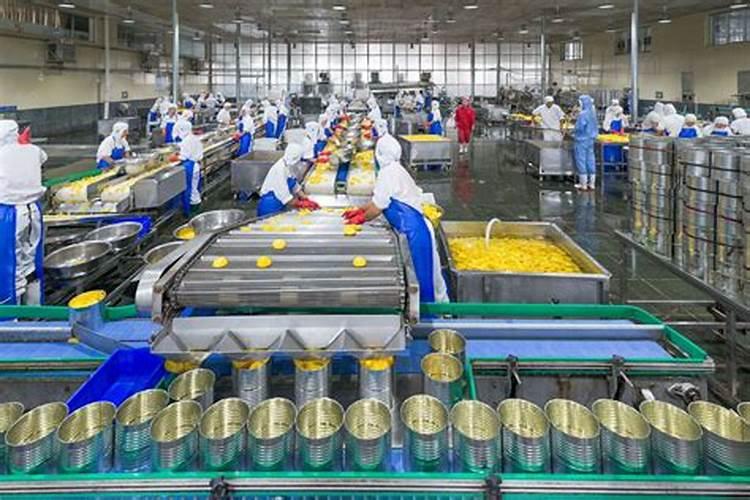橘子底肥放什么肥好(底肥施用方法)