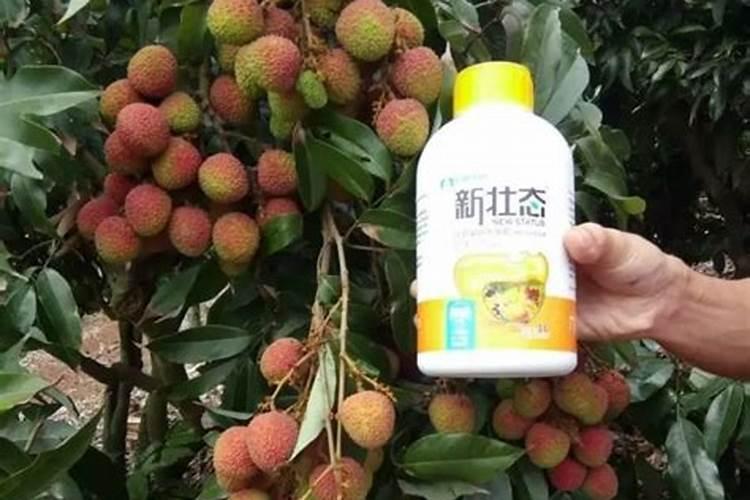 怎么知道叶面肥的真假呢