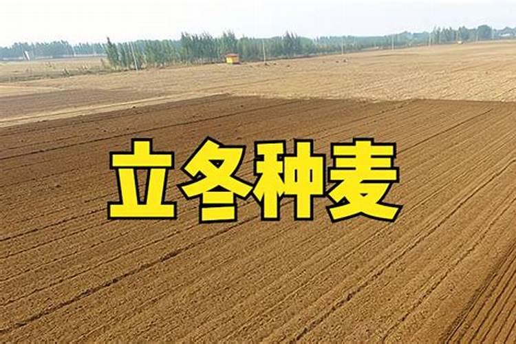 中国50大品牌复合肥