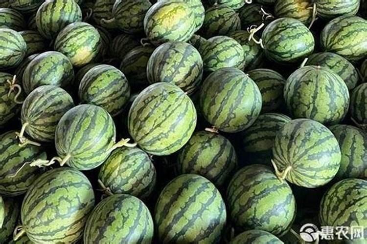 京玛买的西瓜不甜