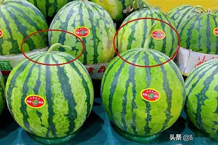西瓜成熟后不甜怎么办