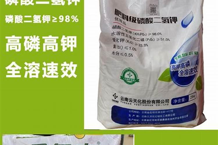 种菜用什么肥料最好