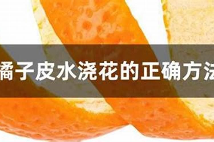 橘子皮晒干养花有什么好处 养花的朋友可以试一试