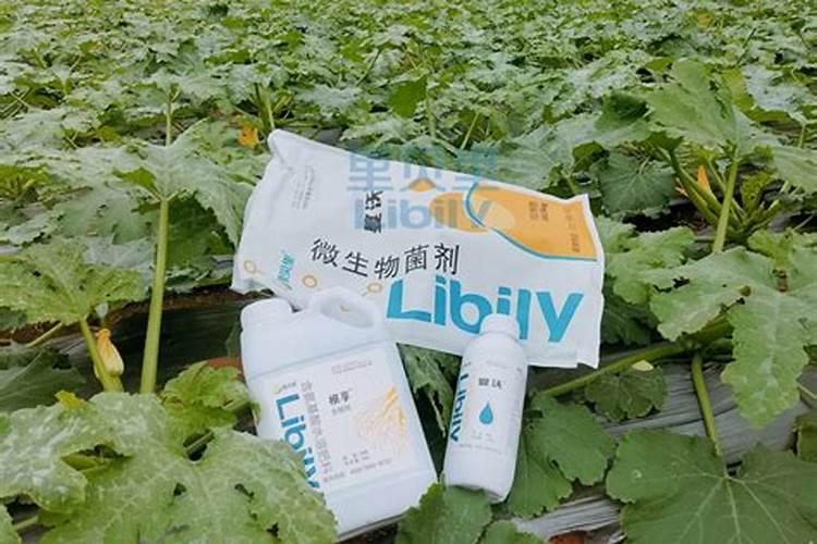 滴可欣水溶肥咋样？