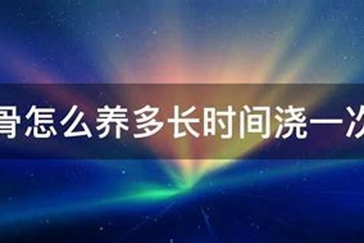 龙骨花怎样施肥