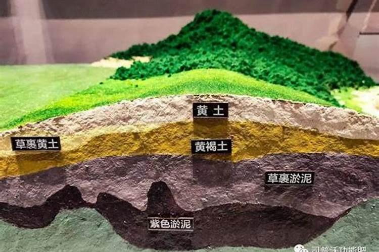 鱼蛋白水溶肥现在怎么用