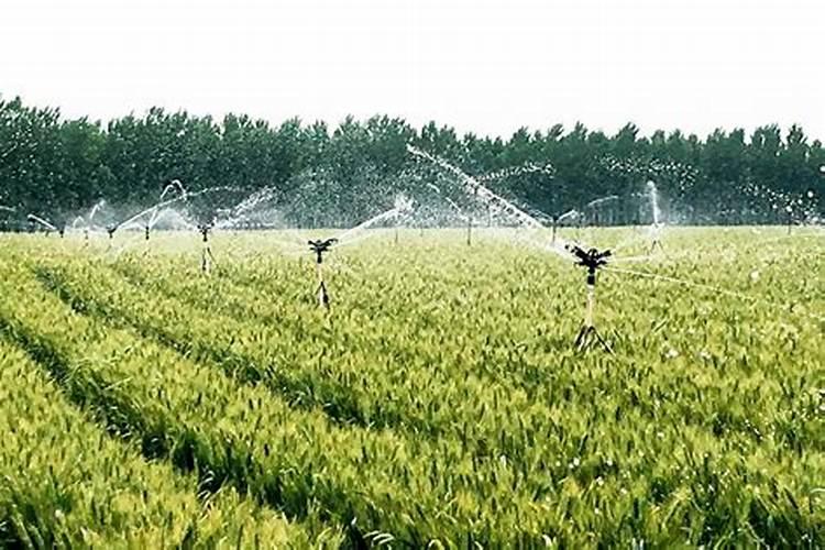 水肥一体化滴灌技术的好处