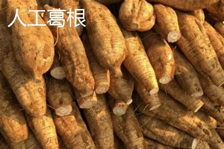 几种特种蔬菜怎么施肥 施肥技巧有哪些