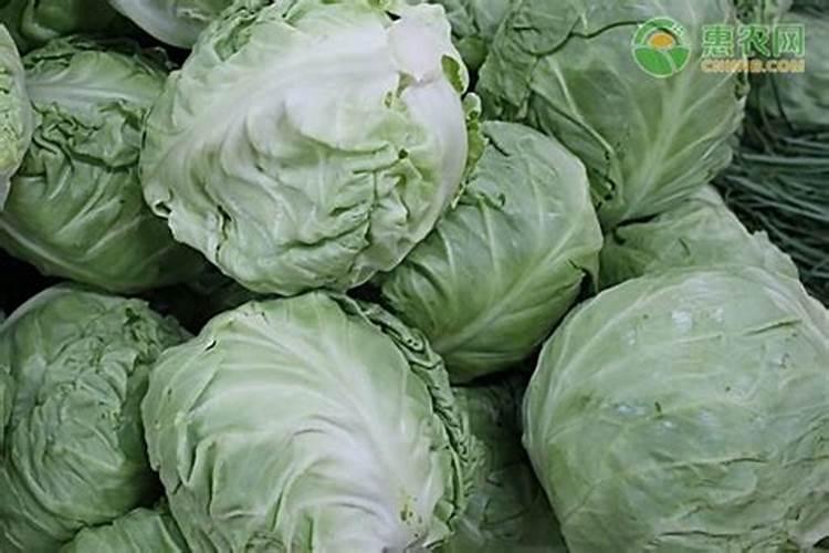 毛豆准备成熟可打毒死蜱吗？