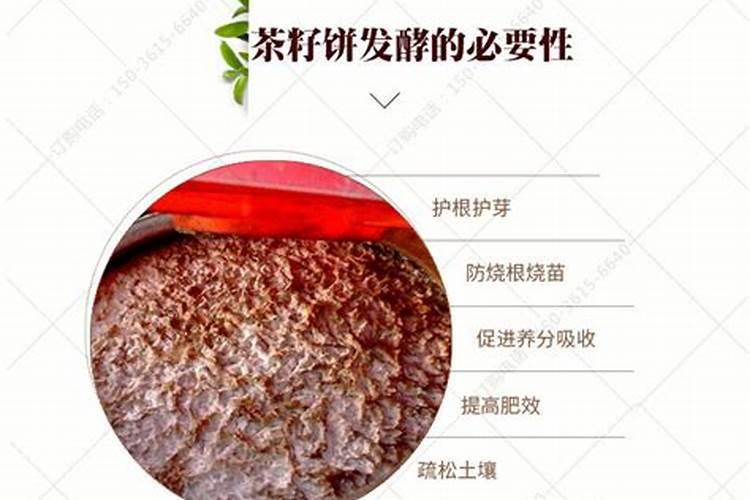 花肥分为几种？