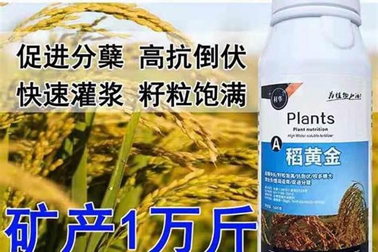 甘度生物除磷菌剂投加在那些池子？会对生化池微生物有伤害吗？