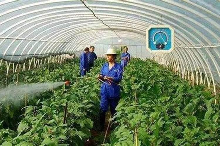 鱼蛋白水溶肥用不完怎么办呢