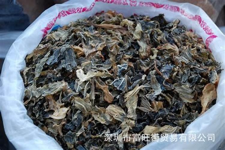 白菜不包心怎么办 包心期如何浇水