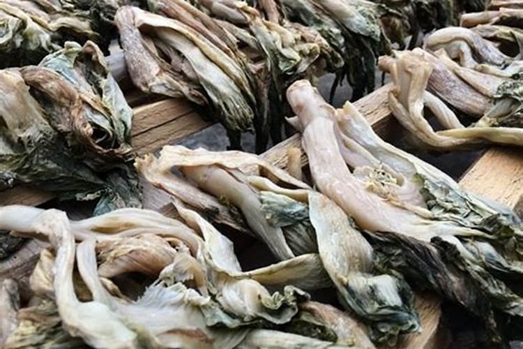 白菜用什么肥料长得快