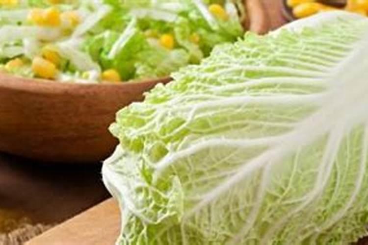 育的花菜白菜包菜苗出土后多少天可打点叶面肥？