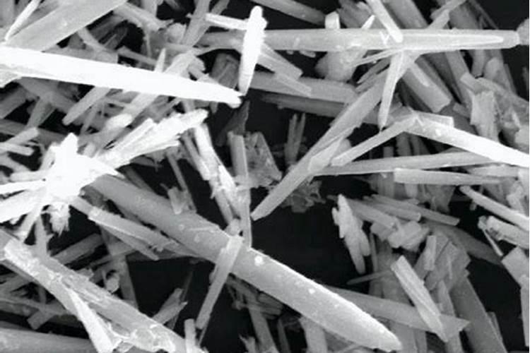 种植物需要哪些肥料