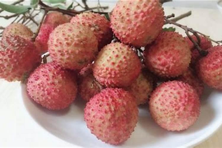 荔枝花芽分化期施什么肥、荔枝施肥管理技术