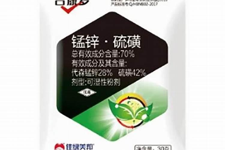 快菜的种植方法