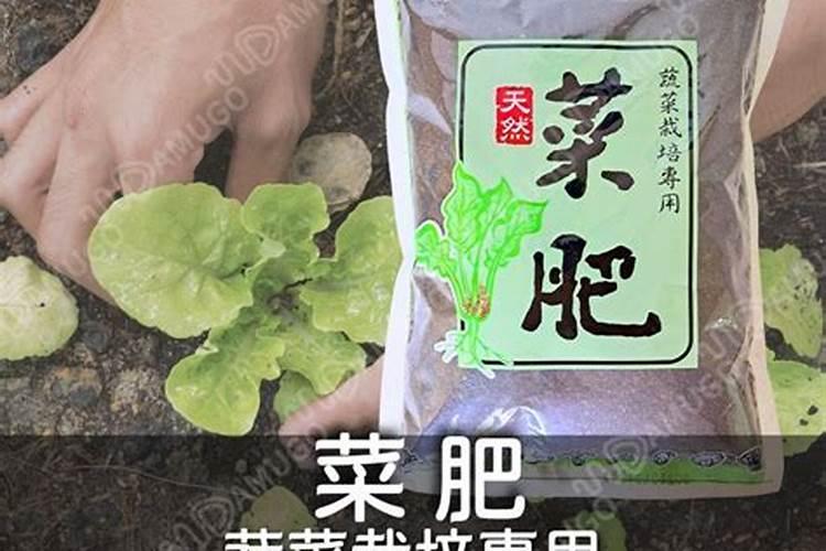 碳铵怎么兑水浇菜？