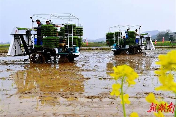 吡嘧苯噻酰使用方法