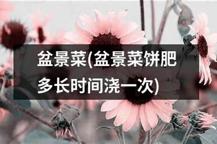 菜籽饼不发酵直接拌土做基肥会烧根吗
