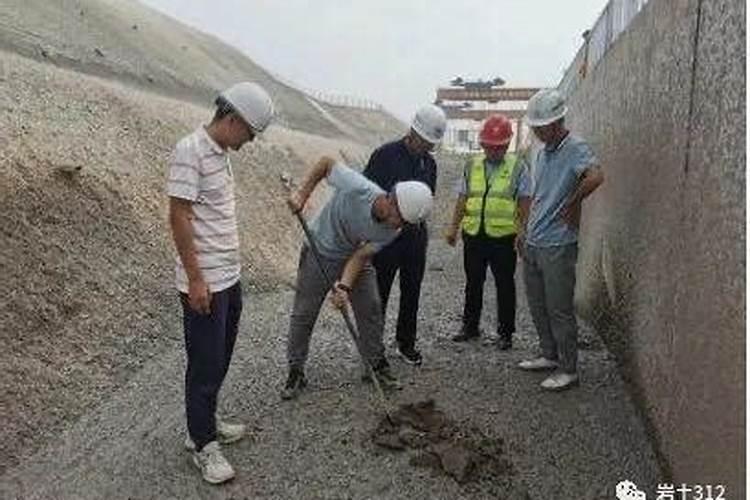 什么是氮肥