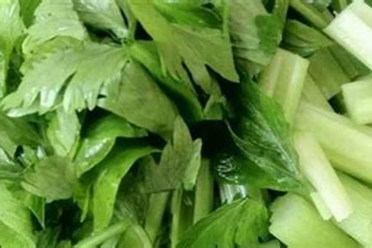 喷什么叶面肥芹菜长得快 喷施方法有哪些