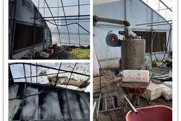 大棚阴天下雨可以打叶面肥吗