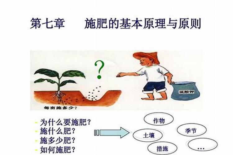 林木如何施肥