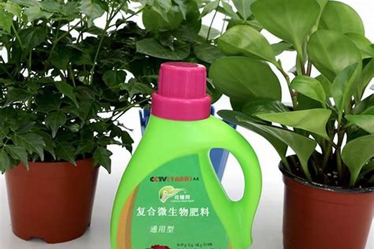 红薯怎样用草木灰控旺